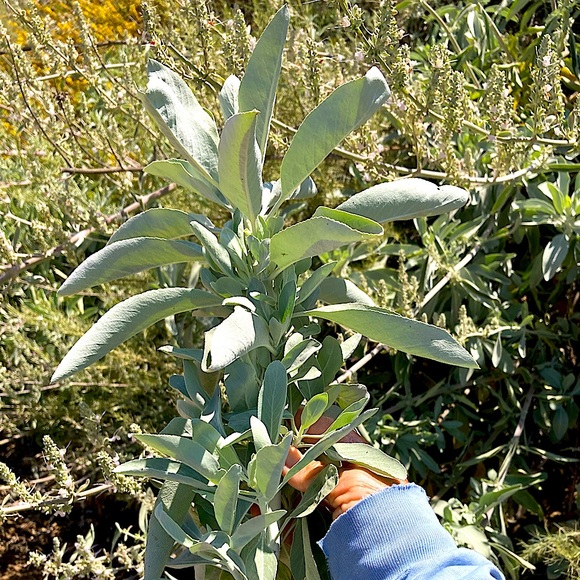 Harmony Gift Set Hand Crafted Home Decor New - Picture 7 of 13